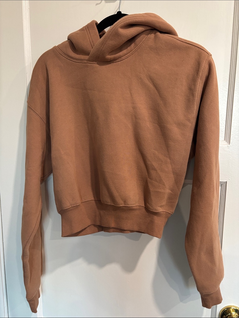 Aritzia cropped hoodie. NEW